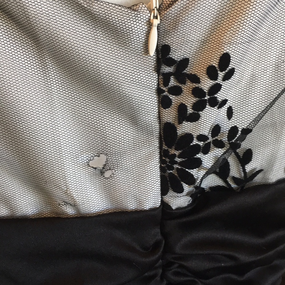 Beautiful Formal Plus-Sized Dress w/Velvet Overlay - Picture 4 of 5